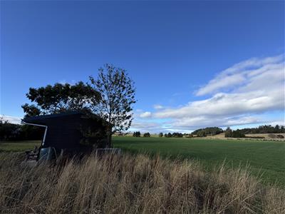 Plot 2 - Field